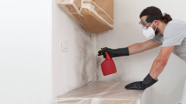 Professional Mold Testing technician working in Farmingville, NY