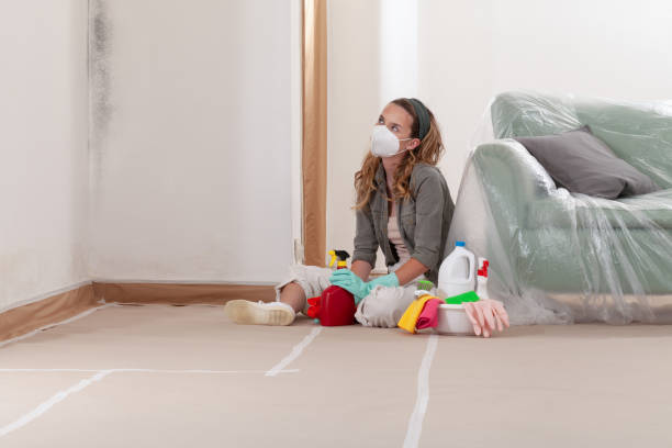 Reliable Mold Testing contractor in Farmingville, NY by WQB Mold Removal